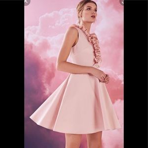 NWT Ted Baker Emalia Ruffled V-Neck Skater Dress, Dusky Pink SZ 4